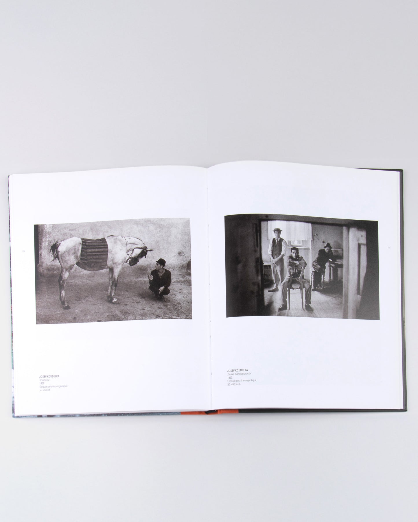 Collection | 150 photographies de la Collection Bachelot à la Villa Médicis