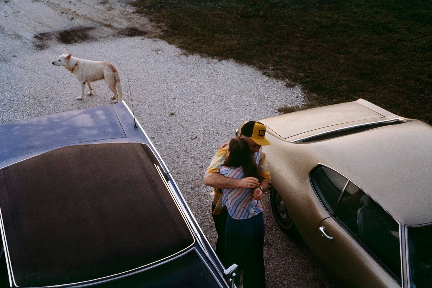 The Anonymous Project - The House