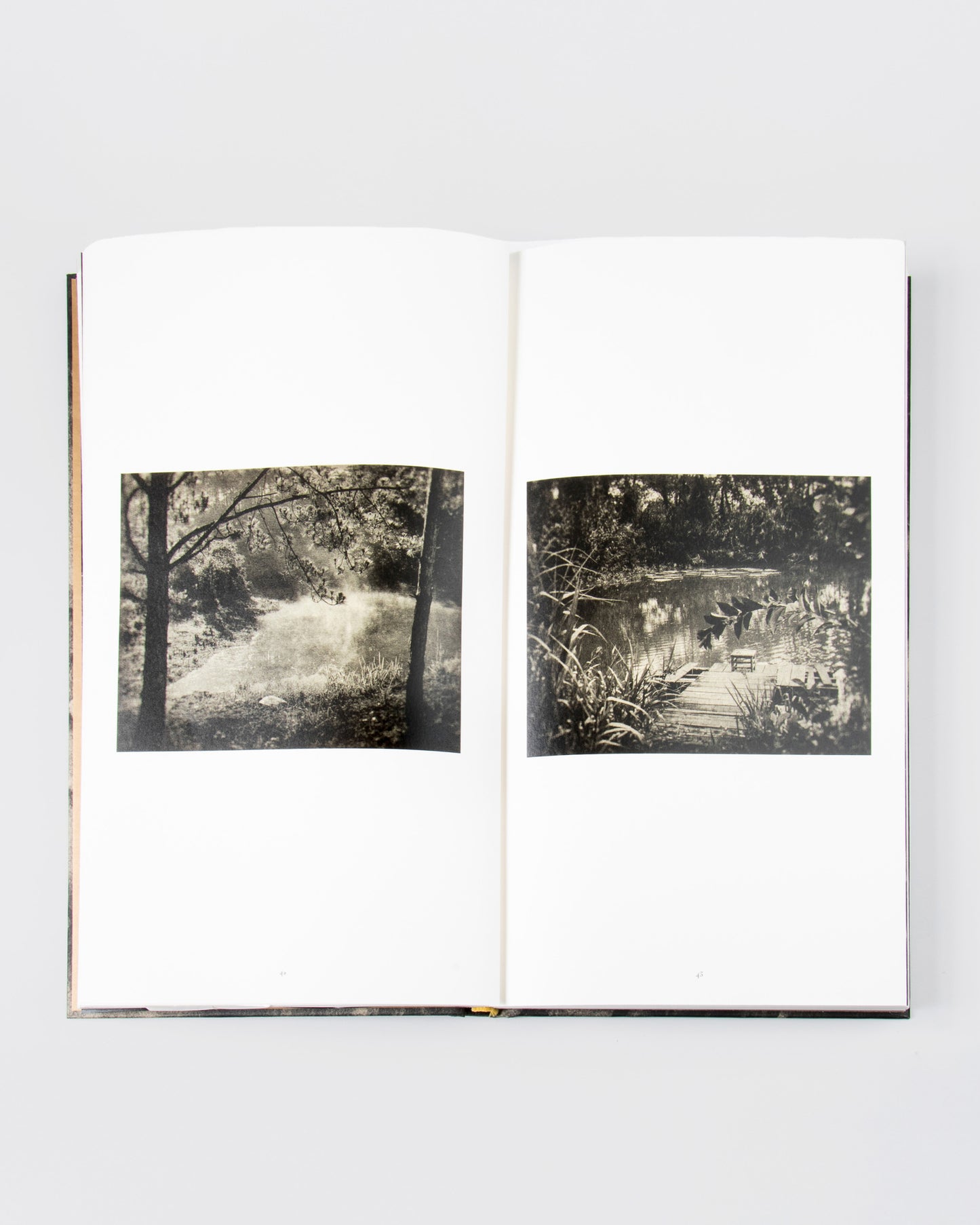 L'Odeur de la nuit était celle du jasmin