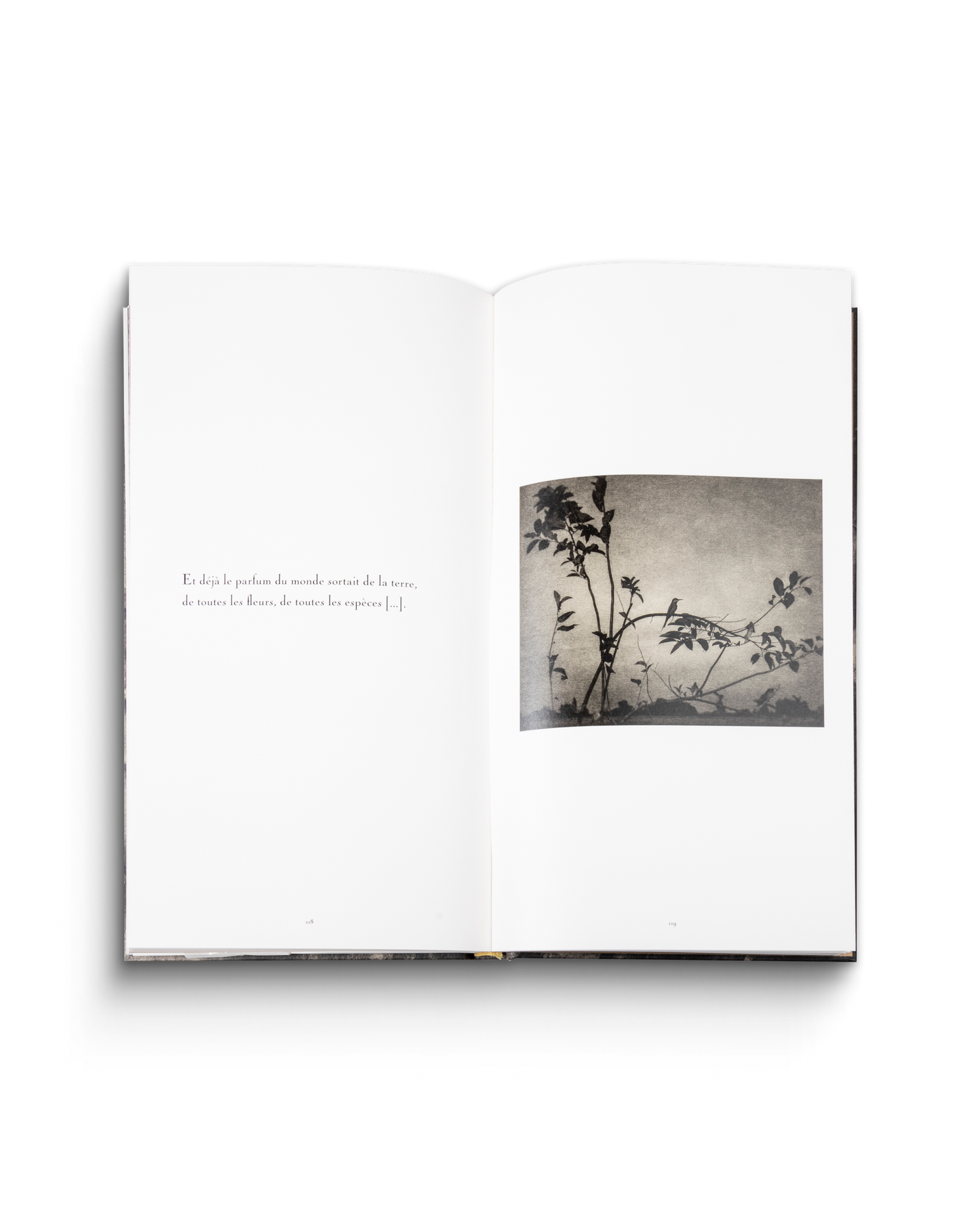 L'Odeur de la nuit était celle du jasmin