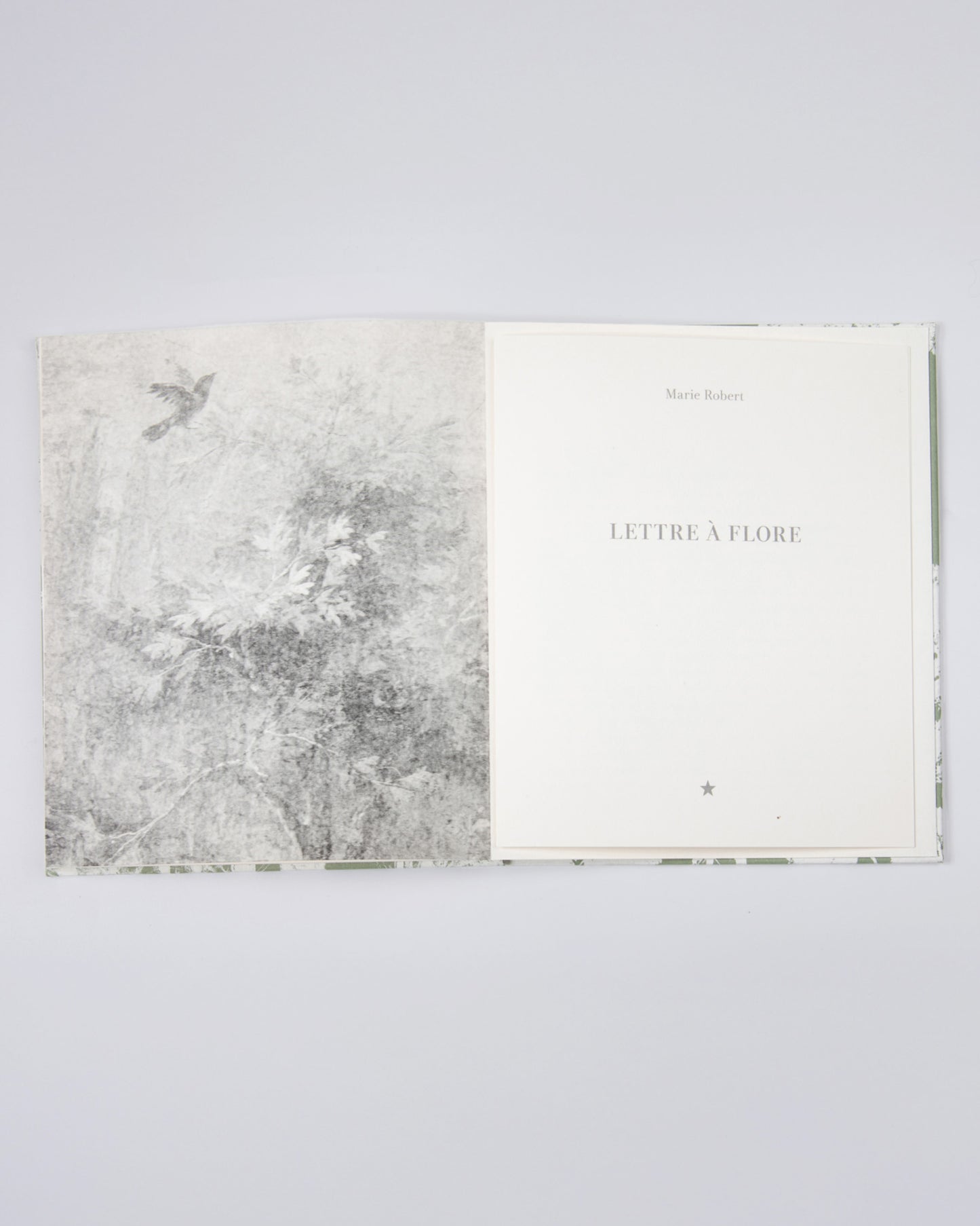 Les rêveries de Lavinia