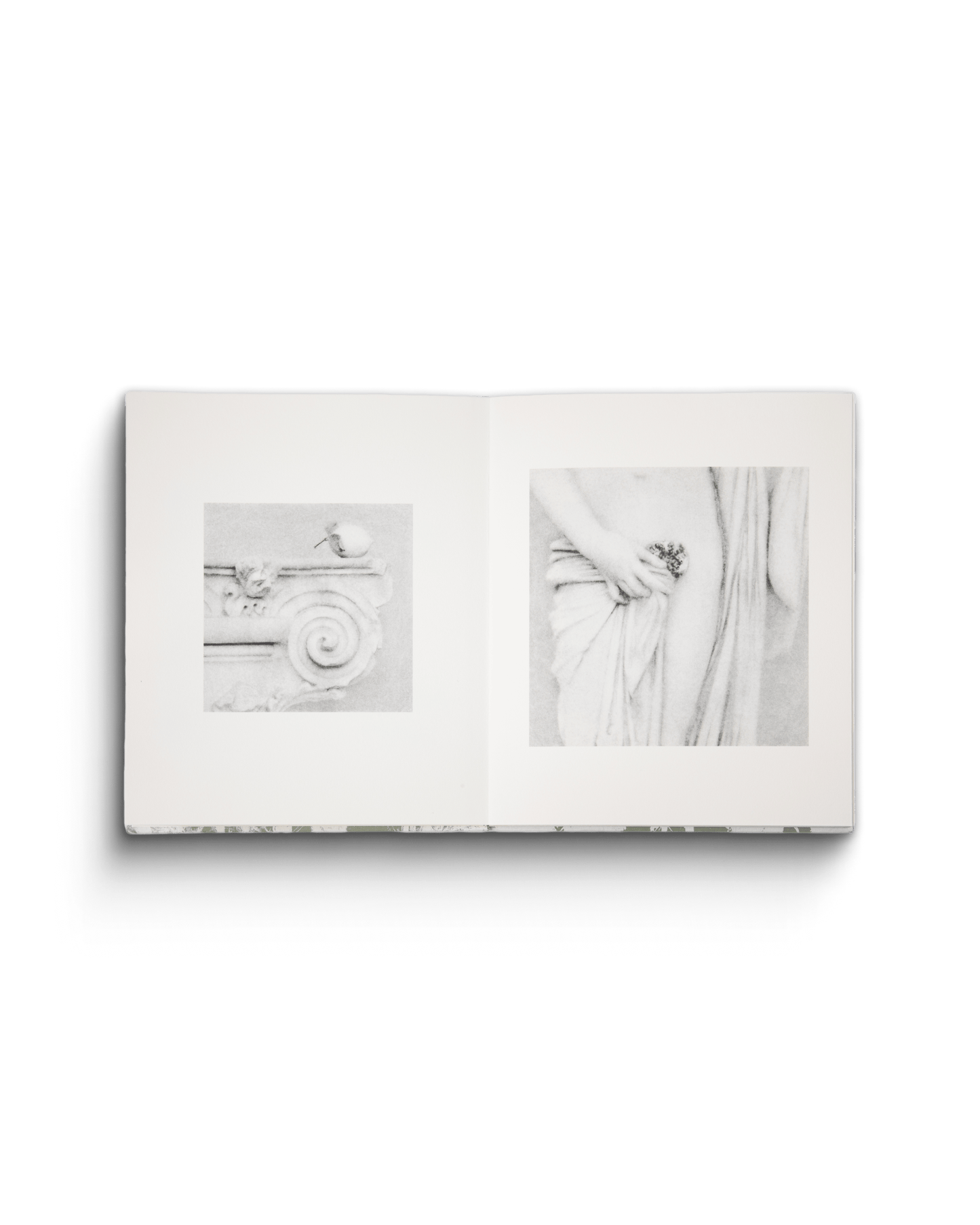 Les rêveries de Lavinia