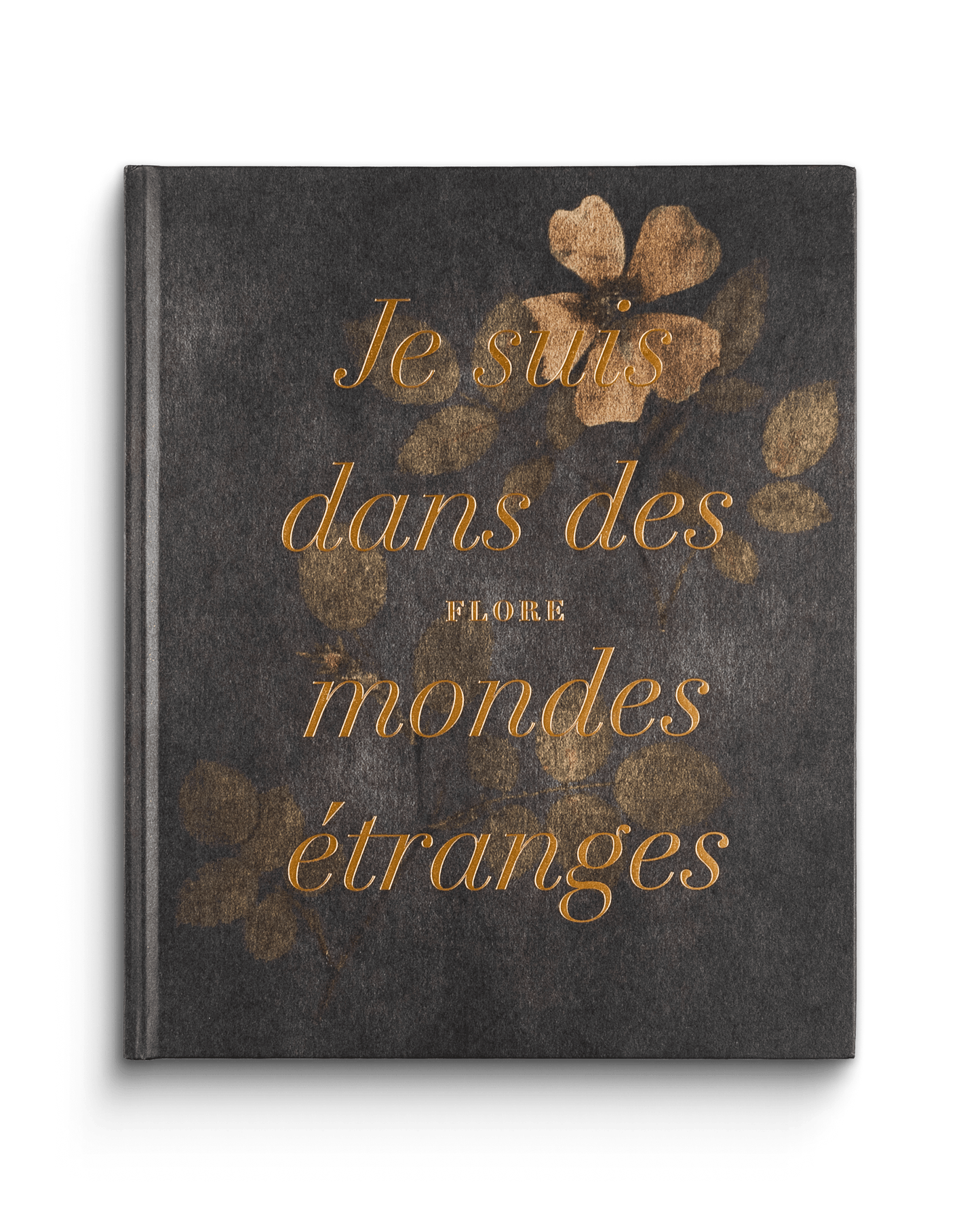 Je suis dans des mondes étranges