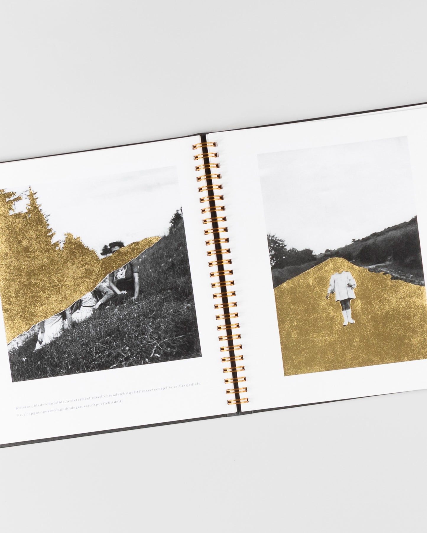 Jamais je ne t'oublierai