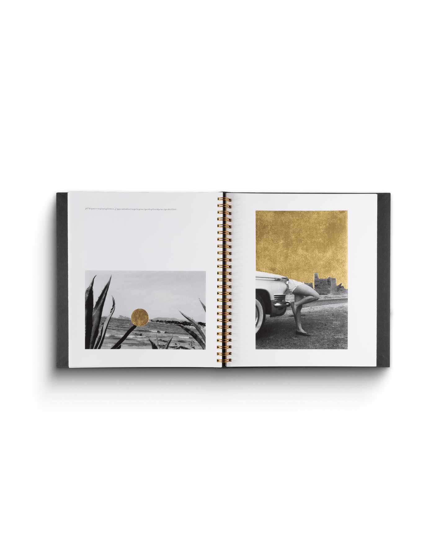 Jamais je ne t'oublierai