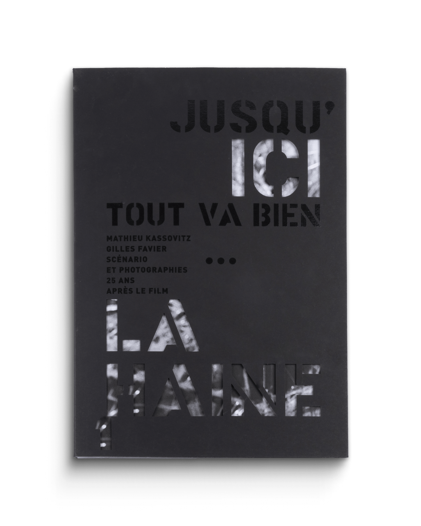 La Haine, jusqu'ici tout va bien