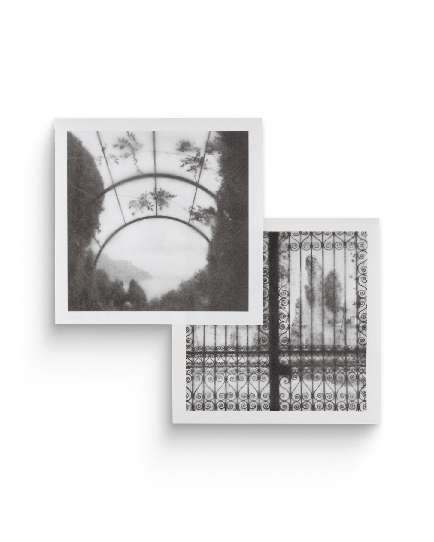 Lavinia | Tirages de tête