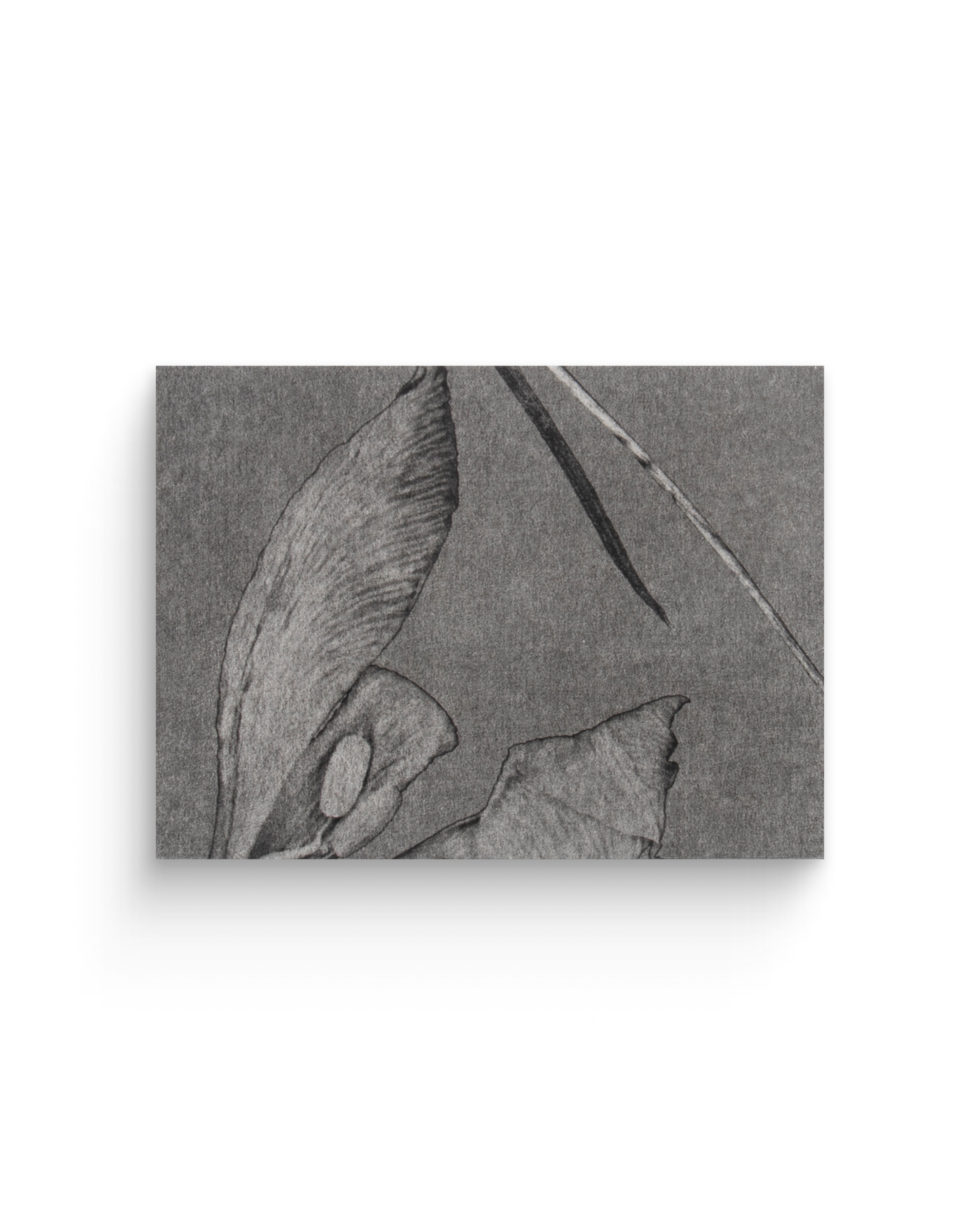 Conversation | Tirages de tête