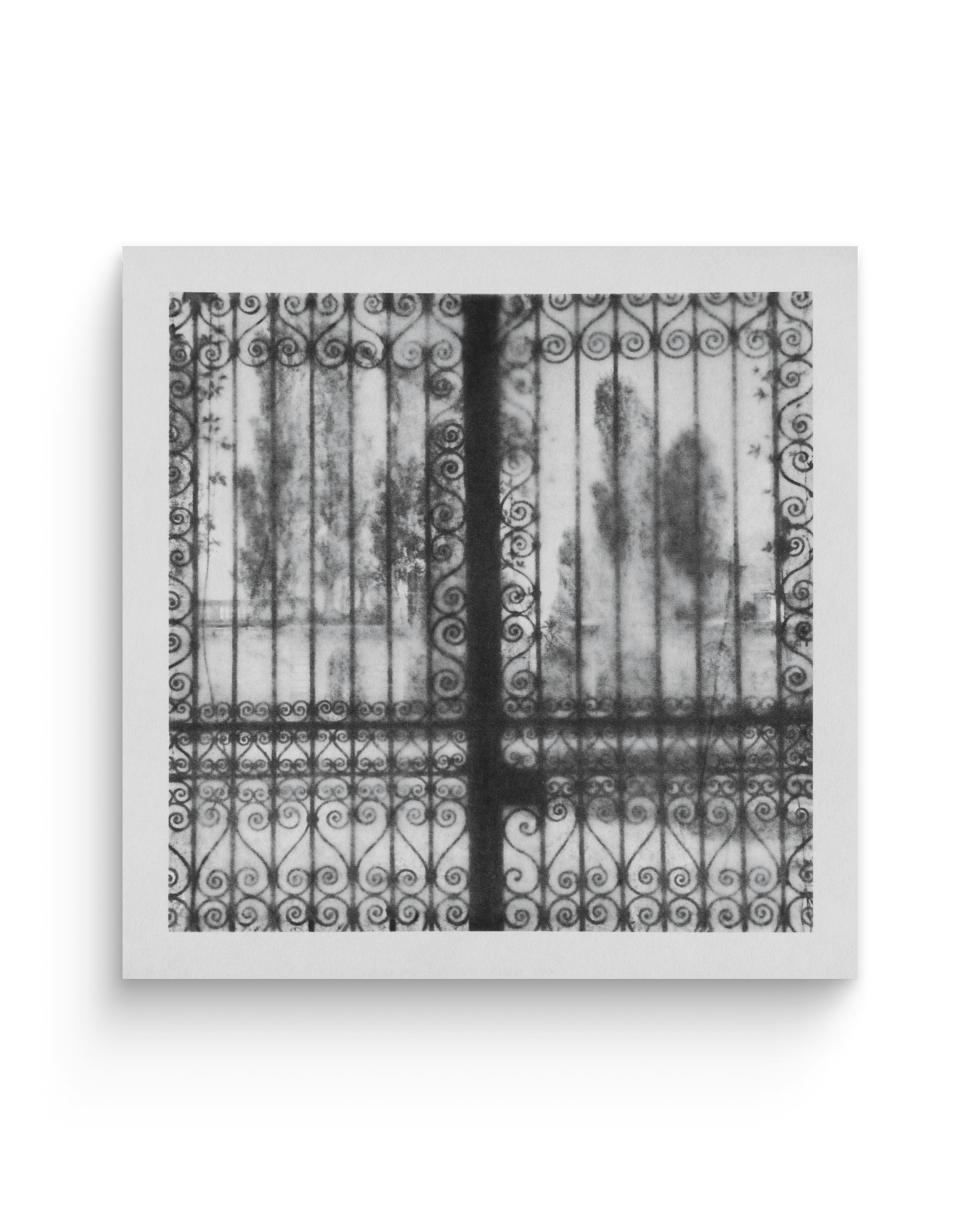 Lavinia | Tirages de tête