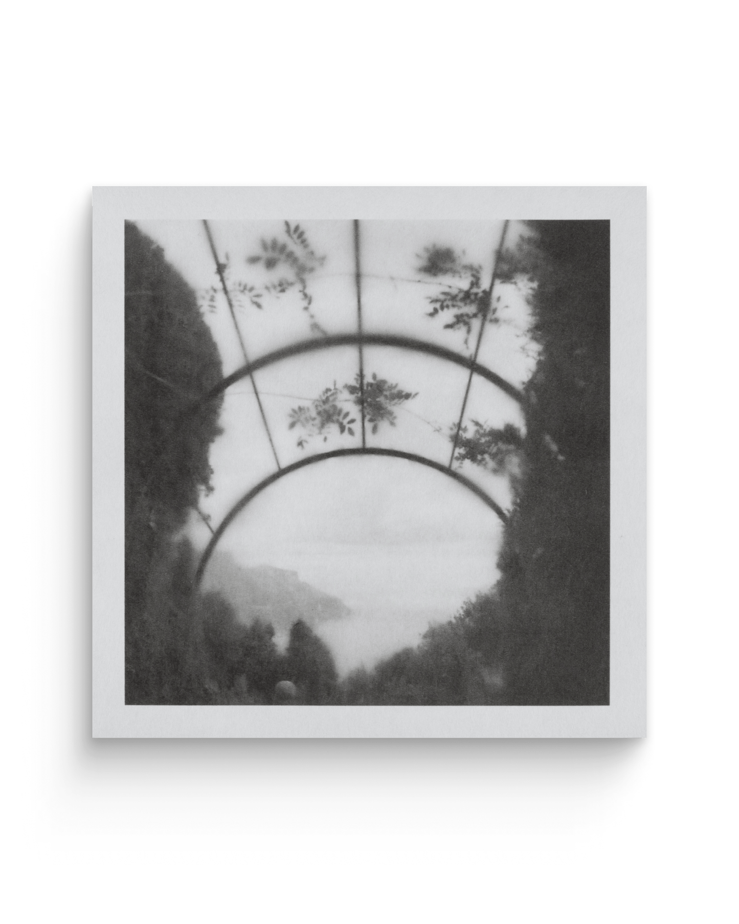 Lavinia | Tirages de tête