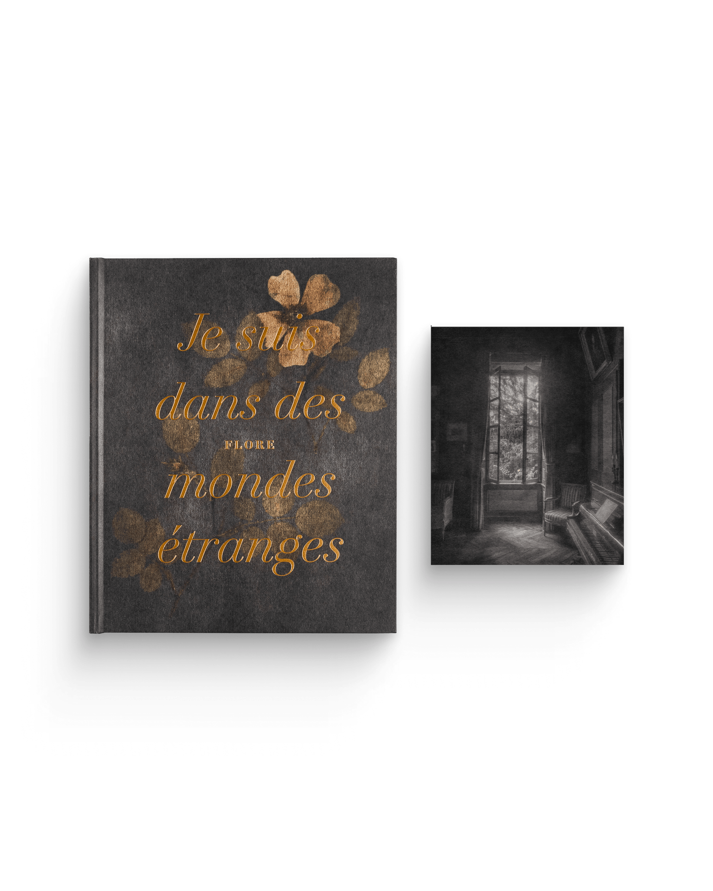Je suis dans des mondes étranges | Tirages de tête