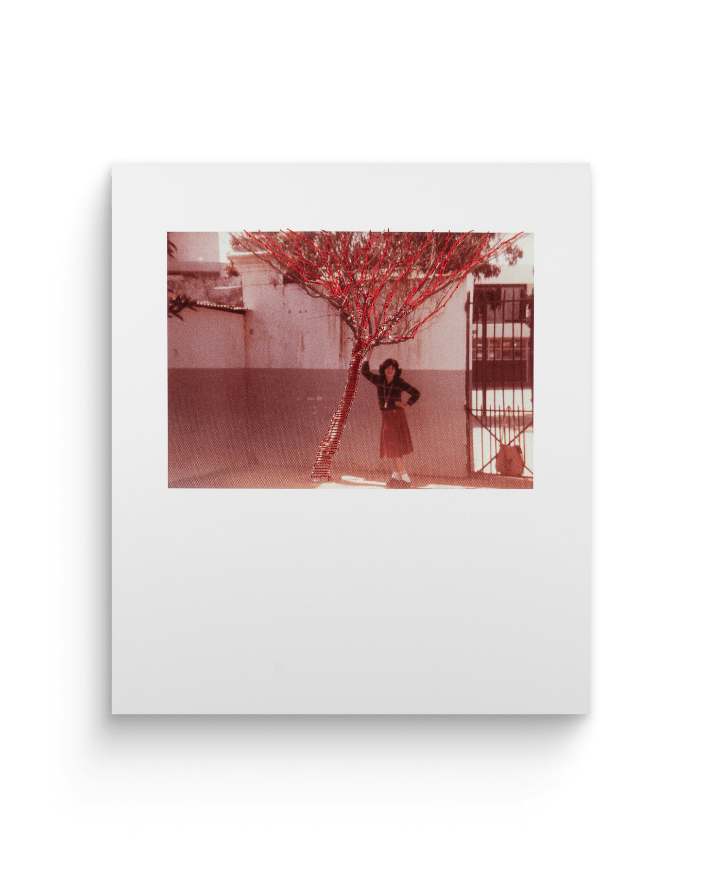 Photos Souvenirs | Tirages de tête