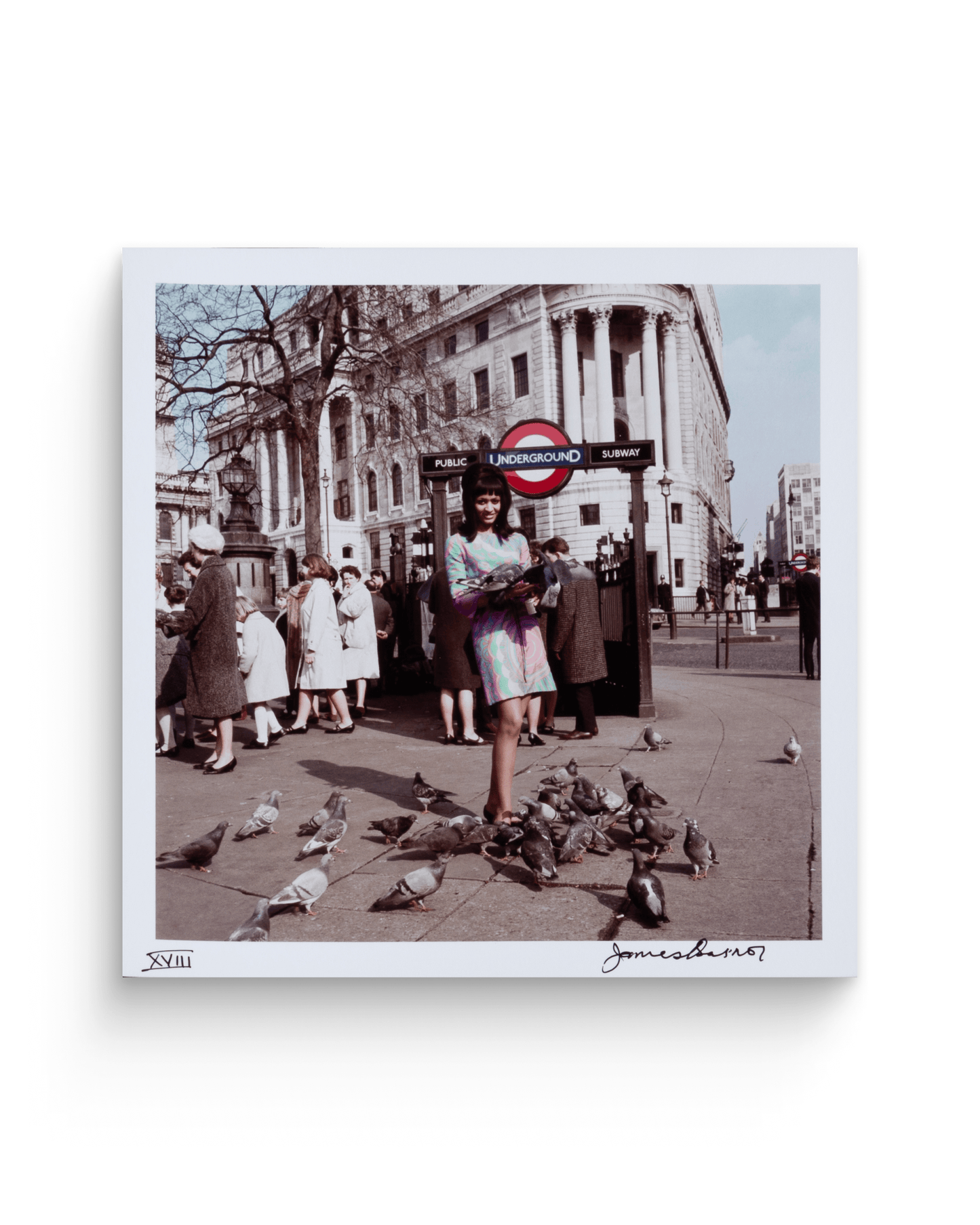 Ever Young | Tirages de tête