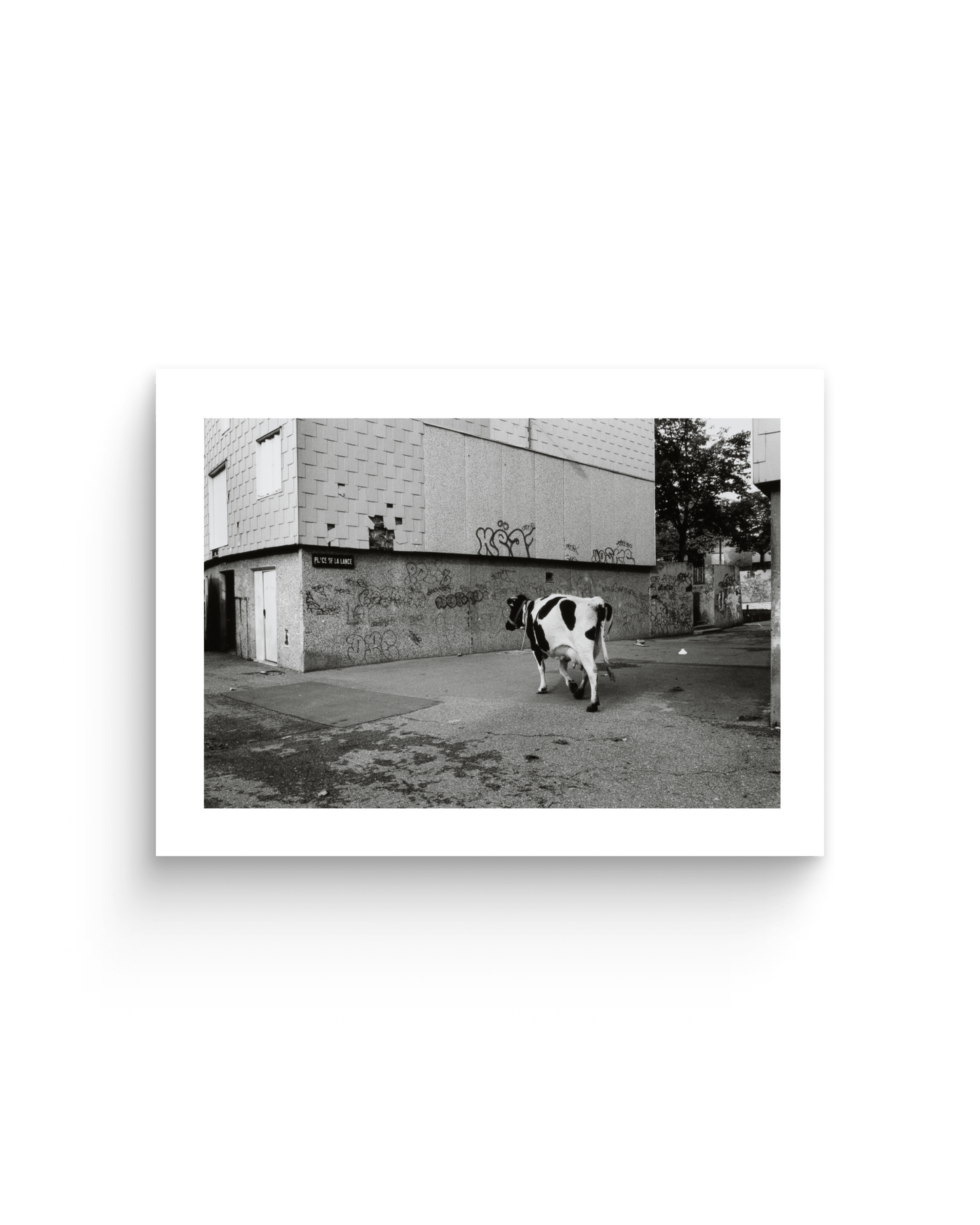 La Haine jusqu'ici tout va bien | Tirage de tête