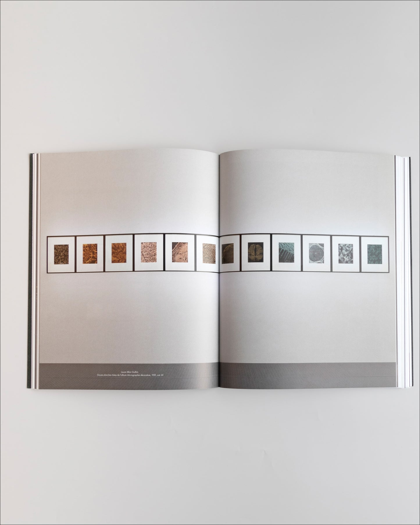 Voir le temps en couleurs. Les défis de la photographie | Catalogue de l’exposition au Centre Pompidou-Metz